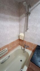 Blossom View (D14), Apartment #551567571